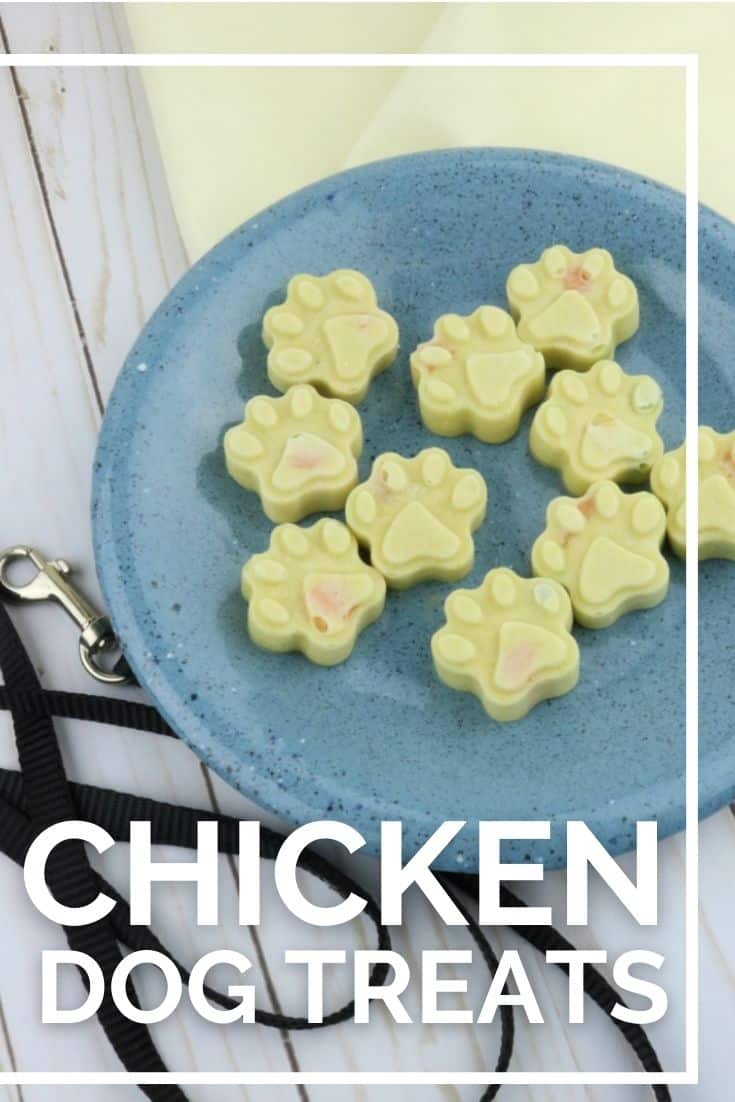 This chicken dog treats recipe is made with chicken baby food and fresh vegetables. Make these homemade chicken dog treats for your pup today.
