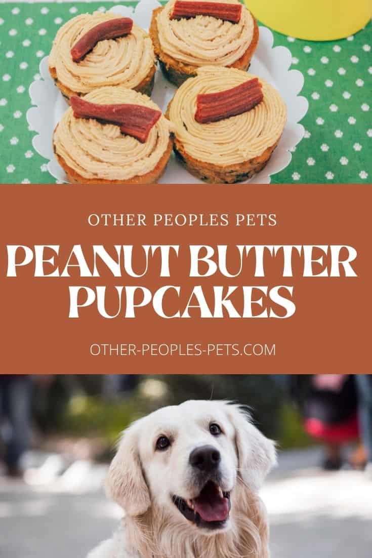 These peanut butter pupcakes are a wonderful way to treat your dog or puppy. Try this single dog cupcake recipe today.