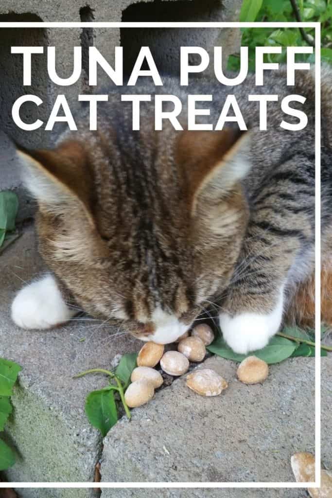 Homemade Cat Treats Without Fish