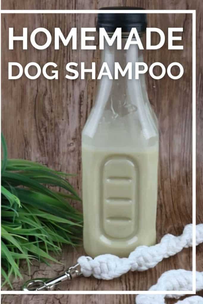 Dog Shampoo for an Oily Coat | Other People's Pets