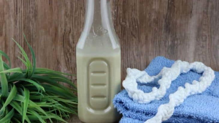 If you need a dog shampoo for an oily coat, did you know that you can make your own? Check out this easy homemade dog shampoo recipe.