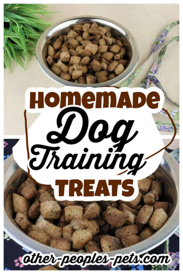Homemade Dog Training Treats Recipe Other People's Pets