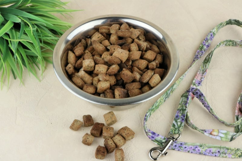 Homemade Dog Training Treats Recipe | Other People's Pets