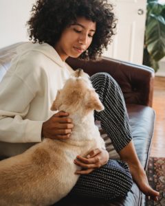 Do You Tip Dog Sitters and Pet Sitters? Other People's Pets