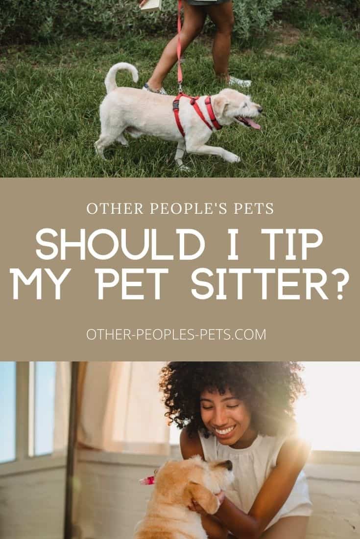 You're going out of town, and need someone to look after your pet. But you don't know how much (if anything) to tip. So, do you tip dog sitters?
