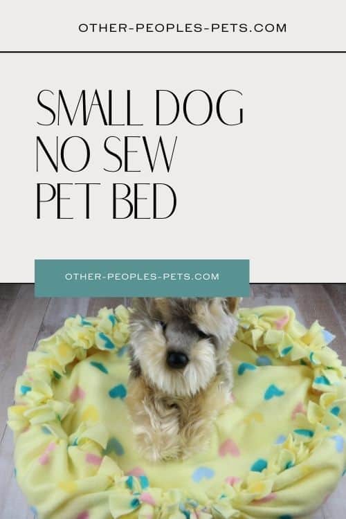 Looking for a new sew dog bed for small dogs? It's hard to find a good bed for your dog. Make this easy no sew fleece pet bed for a toy dog breed.