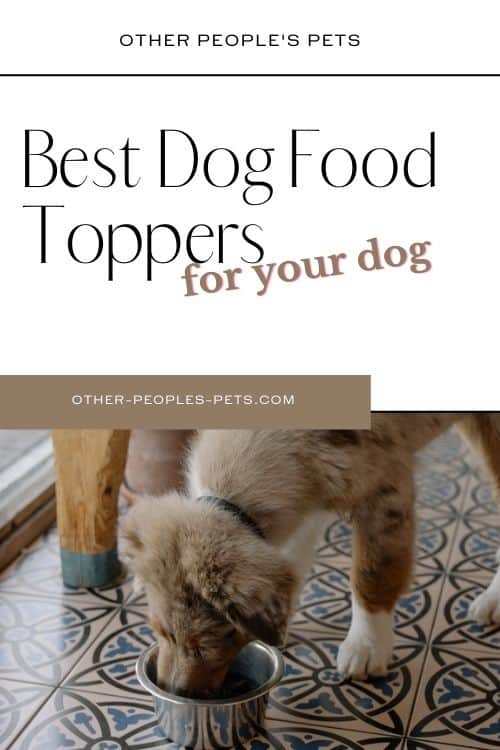 Wondering about dog food toppers?