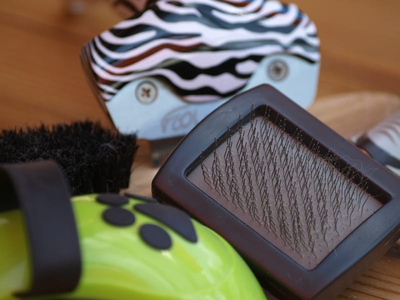 grooming supplies for dogs