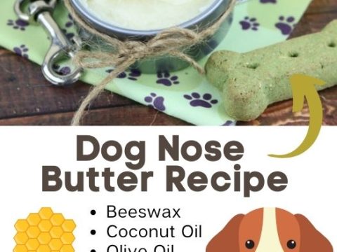 Homemade dog outlet nose balm