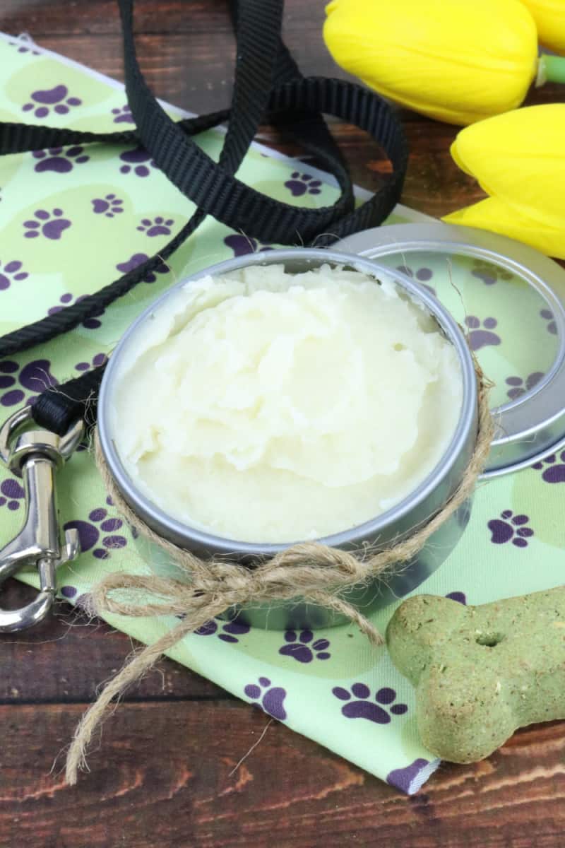 If your dog's nose is rough and you're wondering how to help, keep reading. This dog nose butter recipe is the perfect way to soothe their nose.