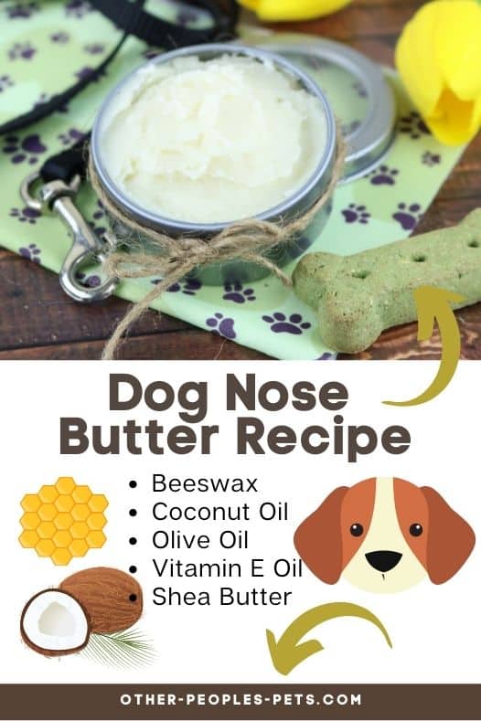 If your dog's nose is rough and you're wondering how to help, keep reading. This Dog Nose Butter recipe is the perfect way to soothe their nose.