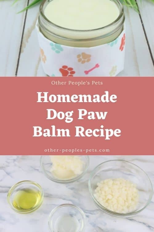 Dogs’ paws are one of the most neglected parts of their bodies. They do not have to be with this homemade dry paw balm recipe.
