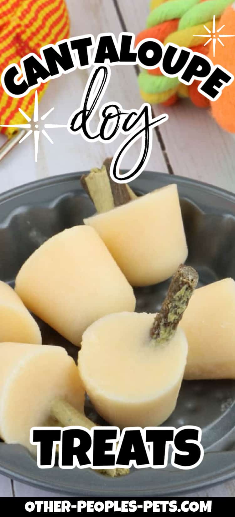 Can dogs eat cantaloupe and honeydew? Yes! Check out these cantaloupe dog treats for a delicious way to pamper your pet.