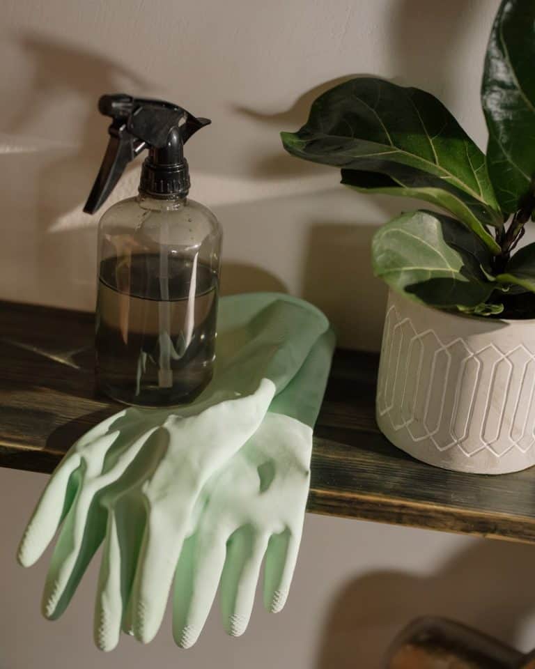 Homemade Dog Repellent Other People's Pets