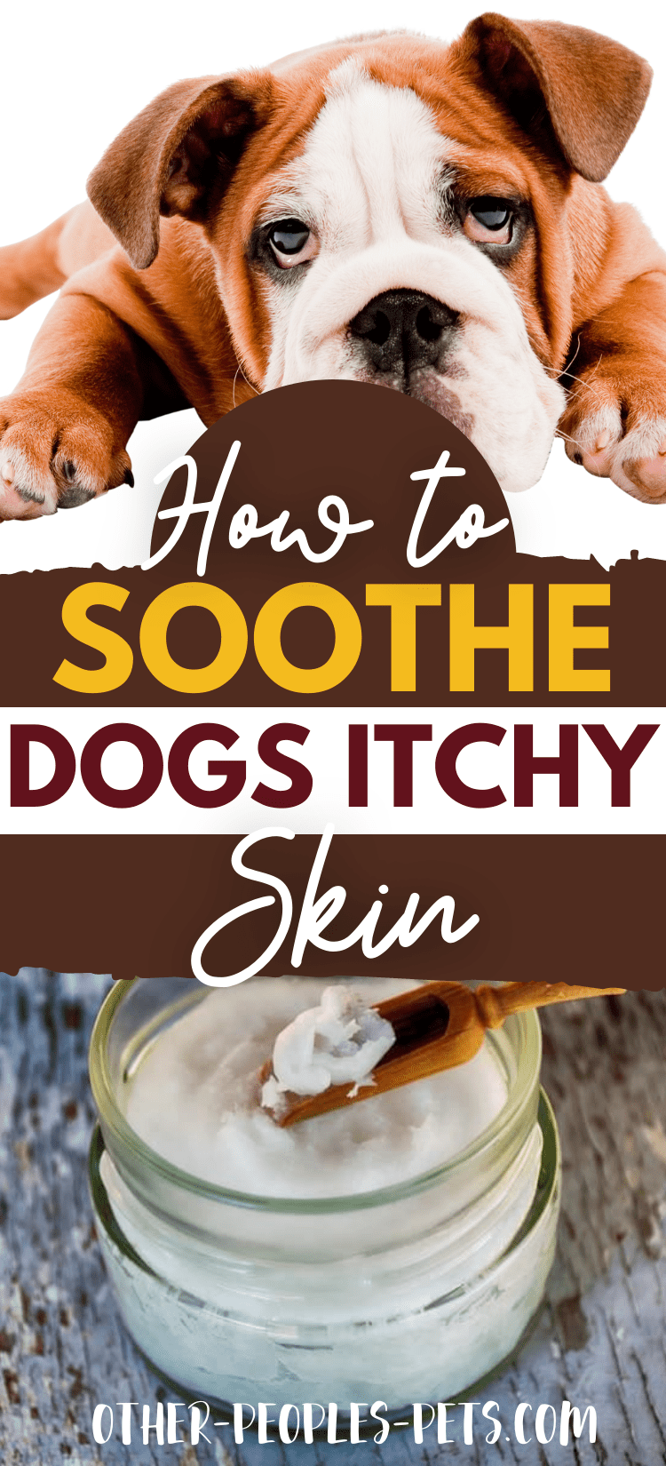 Wondering how to soothe dogs itchy skin? Itchy skin is the most common symptom of pet allergies. Check out these simple tips.