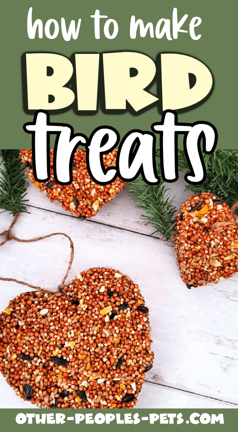 Wondering how to make bird treats? Check out my recipe for wild bird treats that you can make with bird seed for backyard birds.