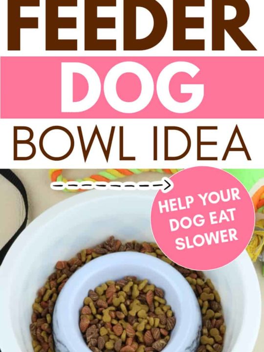 DIY Slow Feeder Dog Bowl Other People s Pets