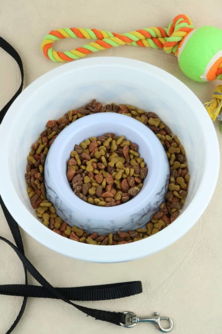 Check out this DIY dog slow feeder bowl you can make to help your dog eat slower. This dog bowl is great for mental stimulation and for improving eating habits.