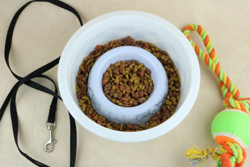 Check out this DIY dog slow feeder bowl you can make to help your dog eat slower. This dog bowl is great for mental stimulation and for improving eating habits.