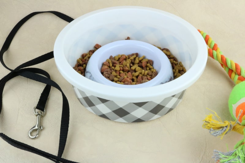 a puzzle feeder with dry dog food in it