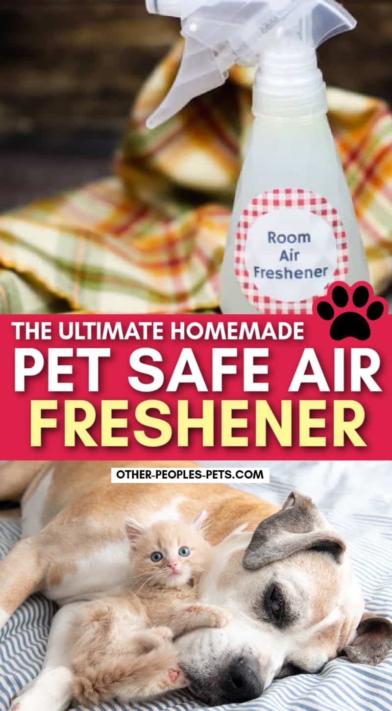 Looking for a pet-safe air freshener? Learn how to make pet-friendly air fresheners using essential oils to help with unwanted odors.