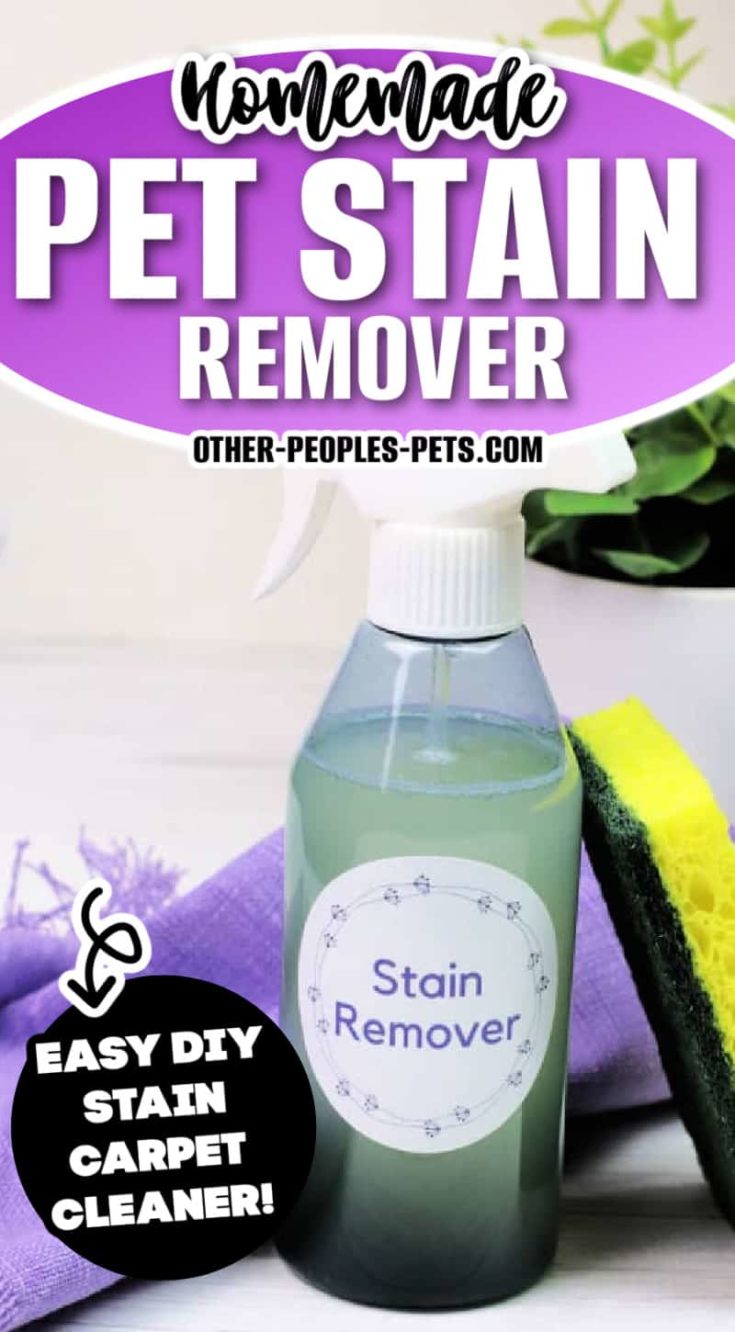Looking for a homemade pet stain carpet cleaner? Make a batch of this DIY carpet stain remover to remove urine stains from carpets.