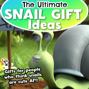 Best gifts for the pet snail lover