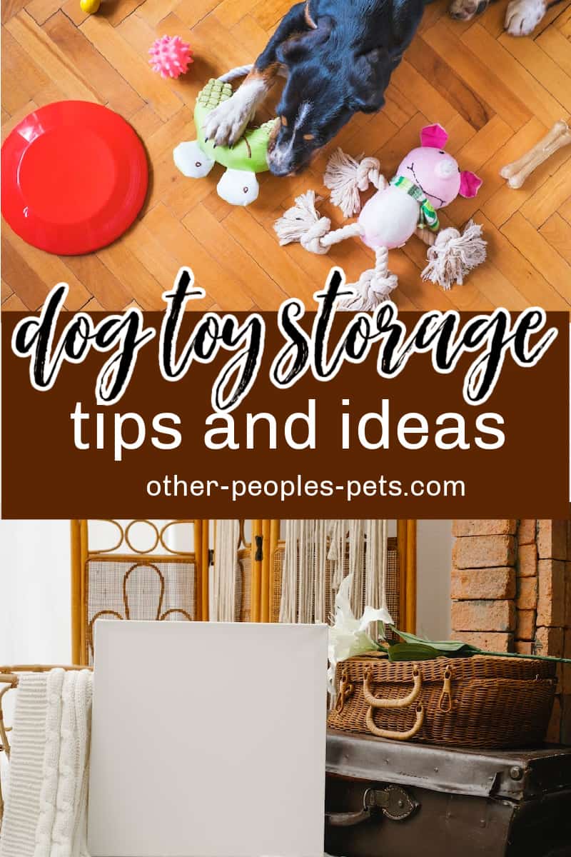 Check out these dog toy storage ideas to keep your dog's toys organized. Never lose favorite toys again with these tips.