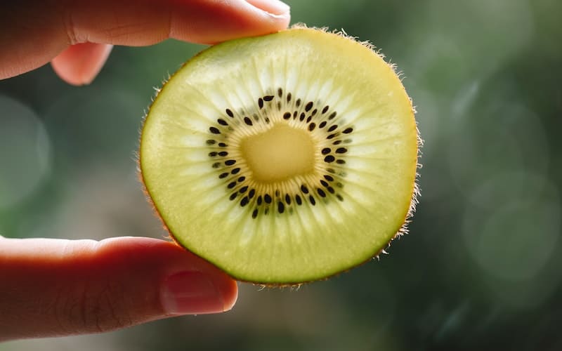 So, can rabbits eat kiwi fruit? Keep reading to learn more about what rabbits can eat safely and if you should include kiwi in a rabbits diet.