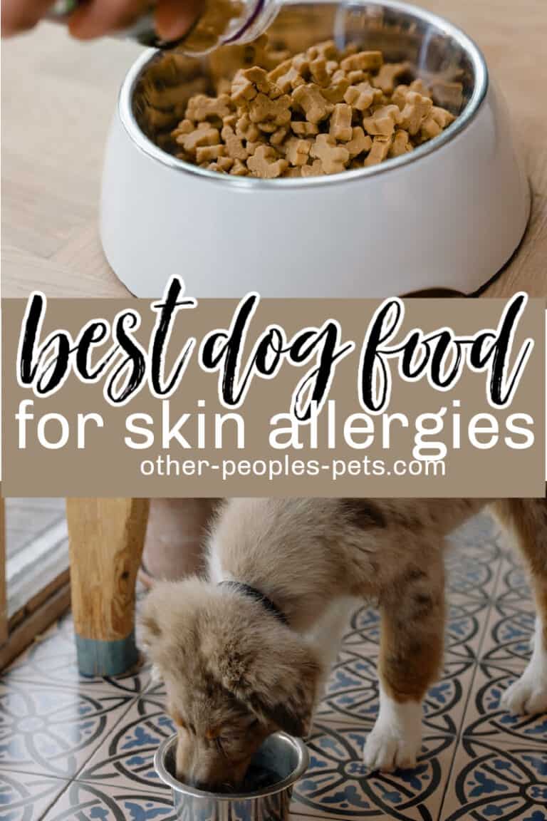 Best Dog Food for Dog with Skin Allergies - Other People's Pets