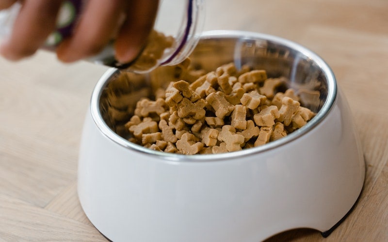 What is the best dog food for dog with skin allergies? Keep reading to learn more about dog food for allergies and how to support your pet's immune system.