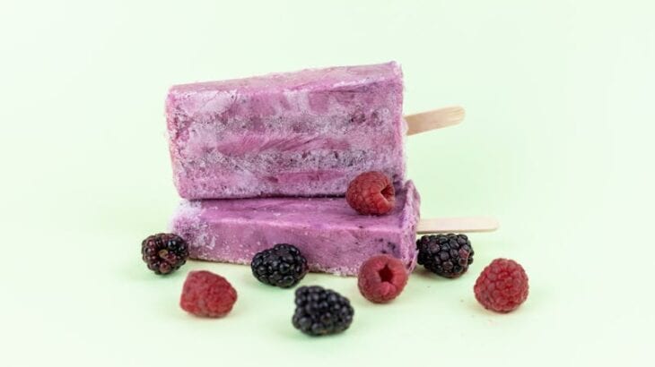 berry dog popsicles